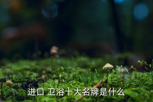 美國(guó)房車衛(wèi)浴設(shè)備品牌排行