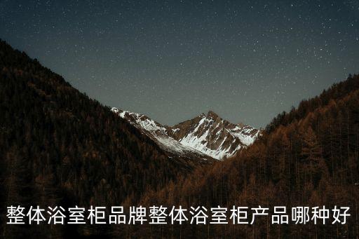 柜外衛(wèi)浴柜品牌好,衛(wèi)浴柜品牌排行榜前十名有哪些