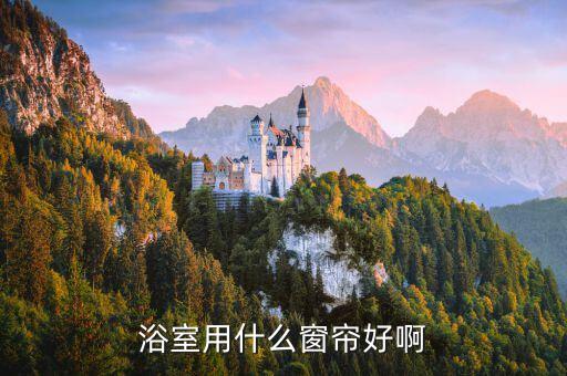 浴室用什么窗簾好啊