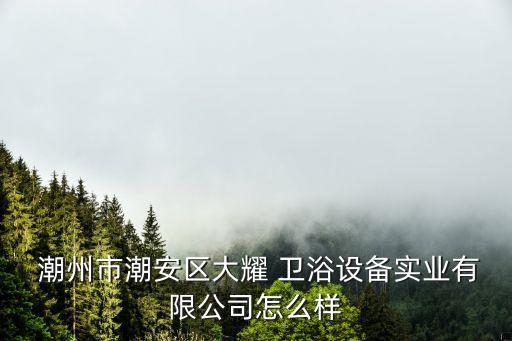  潮州市潮安區(qū)大耀 衛(wèi)浴設(shè)備實業(yè)有限公司怎么樣