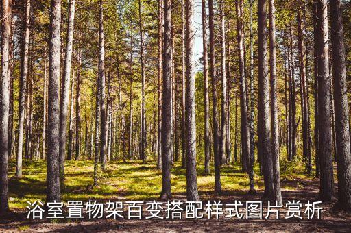 歐派衛(wèi)浴安裝圖片視頻播放