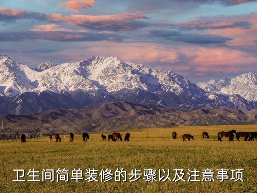 衛(wèi)生間簡單裝修的步驟以及注意事項