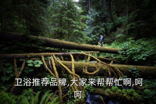 美國諾凡爾衛(wèi)浴是幾線品牌