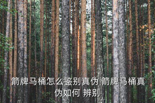  箭牌馬桶怎么鑒別真?zhèn)?箭牌馬桶真?zhèn)稳绾?辨別