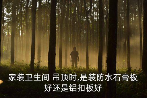 家裝衛(wèi)生間 吊頂時(shí),是裝防水石膏板好還是鋁扣板好