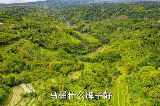  馬桶什么牌子好