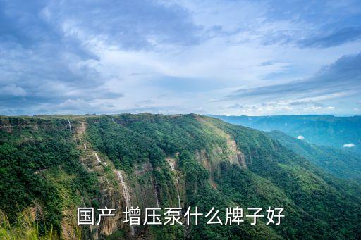 國(guó)產(chǎn) 增壓泵什么牌子好