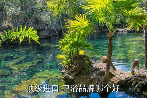 頂級(jí)進(jìn)口 衛(wèi)浴品牌哪個(gè)好
