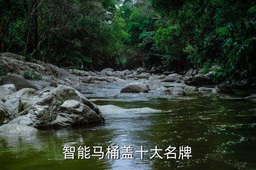 智能馬桶蓋十大名牌