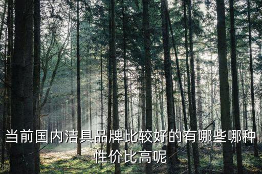 當(dāng)前國(guó)內(nèi)潔具品牌比較好的有哪些哪種性價(jià)比高呢