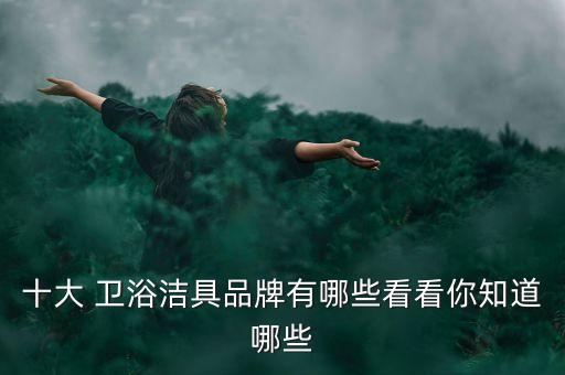 十大 衛(wèi)浴潔具品牌有哪些看看你知道哪些