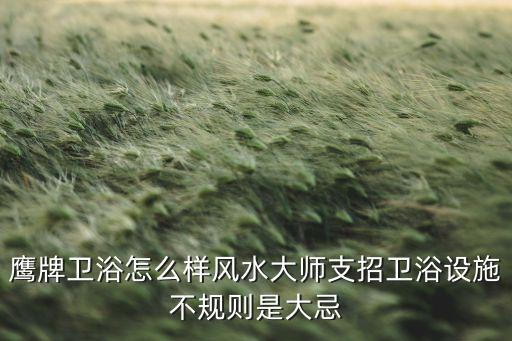 鷹牌衛(wèi)浴怎么樣風(fēng)水大師支招衛(wèi)浴設(shè)施不規(guī)則是大忌