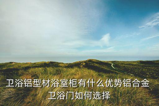 衛(wèi)浴鋁型材浴室柜有什么優(yōu)勢(shì)鋁合金 衛(wèi)浴門(mén)如何選擇