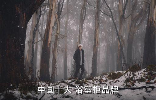 中國(guó)十大 浴室柜品牌