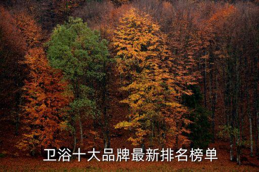 安徽衛(wèi)浴直銷品牌有哪些