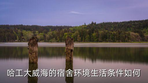 哈工大威海的宿舍環(huán)境生活條件如何