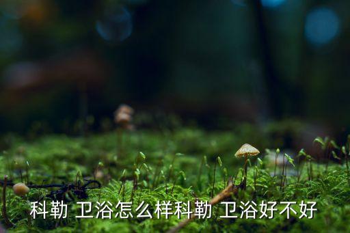 kopo衛(wèi)浴品牌的質(zhì)量怎么樣,喬賓衛(wèi)浴質(zhì)量怎么樣是一線品牌嗎