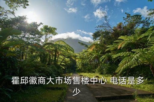  霍邱徽商大市場售樓中心 電話是多少