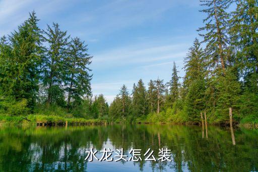 安裝廚房衛(wèi)浴平臺(tái)圖片,廚房衛(wèi)浴圖片大全