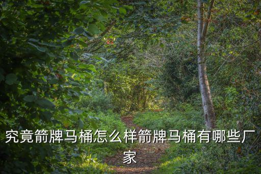 究竟箭牌馬桶怎么樣箭牌馬桶有哪些廠家