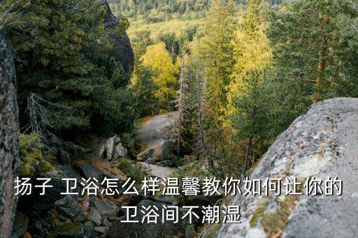 揚子 衛(wèi)浴怎么樣溫馨教你如何讓你的 衛(wèi)浴間不潮濕