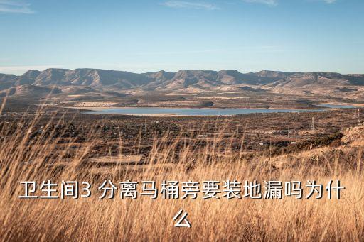 衛(wèi)生間3 分離馬桶旁要裝地漏嗎為什么