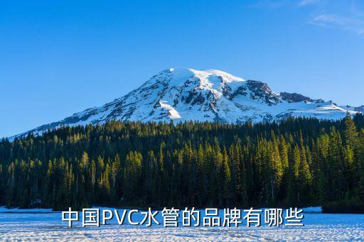 中國PVC水管的品牌有哪些