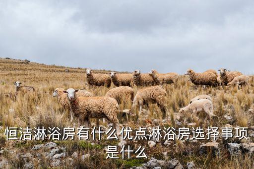恒潔淋浴房有什么優(yōu)點(diǎn)淋浴房選擇事項(xiàng)是什么