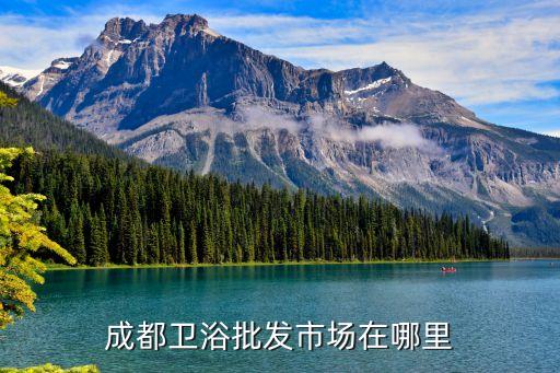 成都衛(wèi)浴批發(fā)市場在哪里