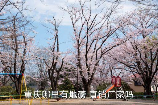 重慶哪里有地磅 直銷廠家嗎