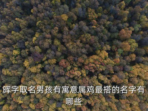 暉字取名男孩有寓意屬雞最搭的名字有哪些