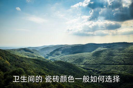 黑瓷磚配衛(wèi)浴門好看嗎圖片