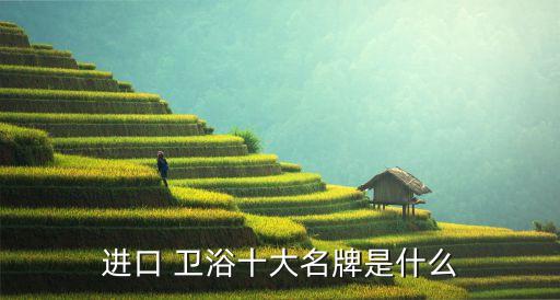 五星級(jí)酒店頂級(jí)衛(wèi)浴品牌