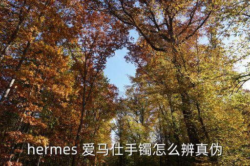 hermes 愛(ài)馬仕手鐲怎么辨真?zhèn)? class=