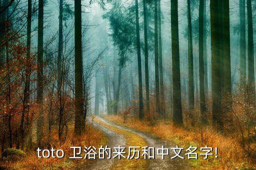 toto 衛(wèi)浴的來(lái)歷和中文名字!