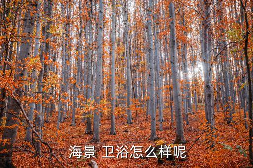  海景 衛(wèi)浴怎么樣呢