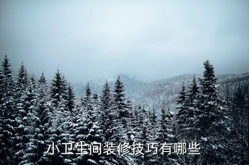 小衛(wèi)生間裝修技巧有哪些
