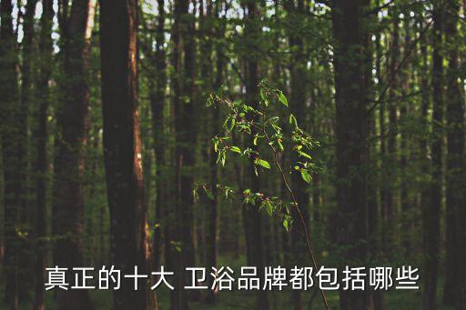 真正的十大 衛(wèi)浴品牌都包括哪些