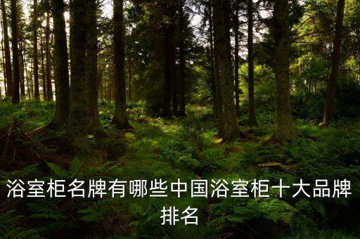 浴室柜名牌有哪些中國浴室柜十大品牌排名