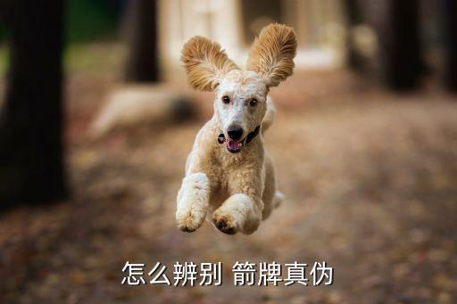怎么辨別 箭牌真?zhèn)? class=