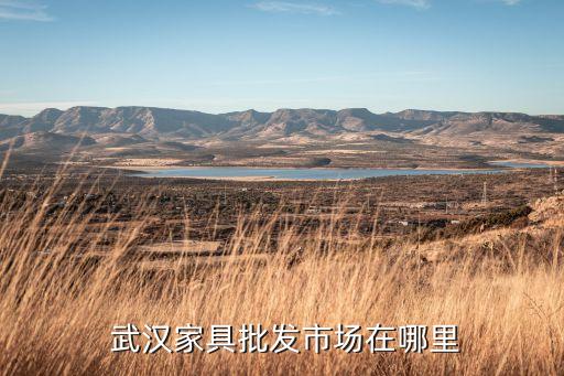 武漢衛(wèi)浴東西湖店地址電話