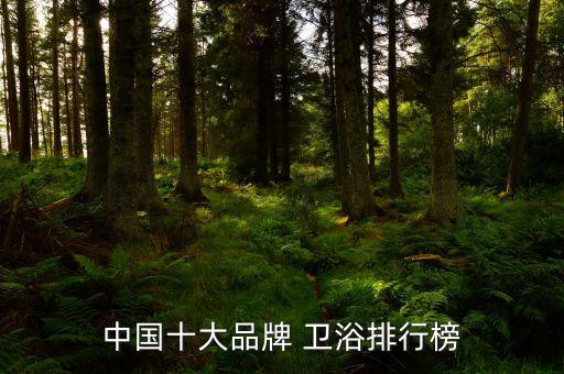 中國十大品牌 衛(wèi)浴排行榜