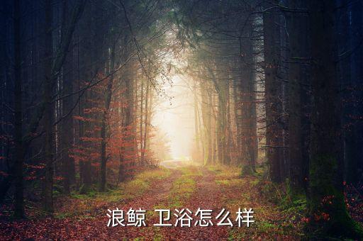 高端衛(wèi)浴網(wǎng)店,衛(wèi)浴實體店和網(wǎng)店的質量一樣嗎