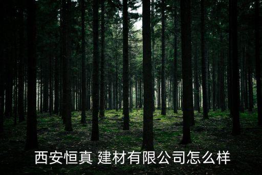  西安恒真 建材有限公司怎么樣