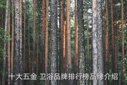 十大五金 衛(wèi)浴品牌排行榜品牌介紹