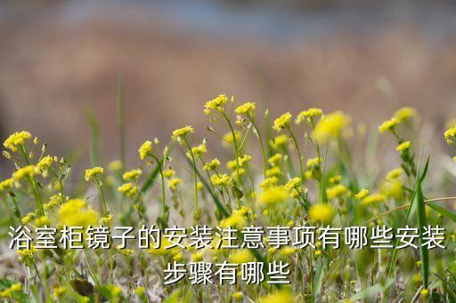 浴室柜鏡子的安裝注意事項有哪些安裝步驟有哪些