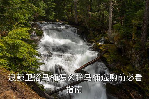  浪鯨衛(wèi)浴馬桶怎么樣馬桶選購前必看指南