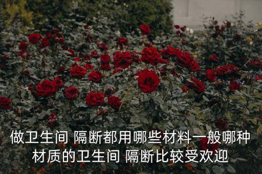 做衛(wèi)生間 隔斷都用哪些材料一般哪種材質(zhì)的衛(wèi)生間 隔斷比較受歡迎