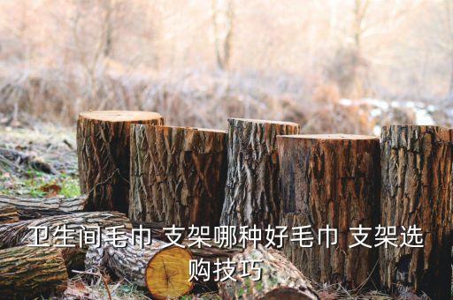衛(wèi)生間毛巾 支架哪種好毛巾 支架選購(gòu)技巧