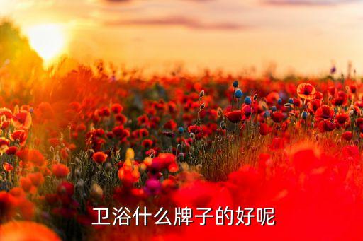  衛(wèi)浴什么牌子的好呢